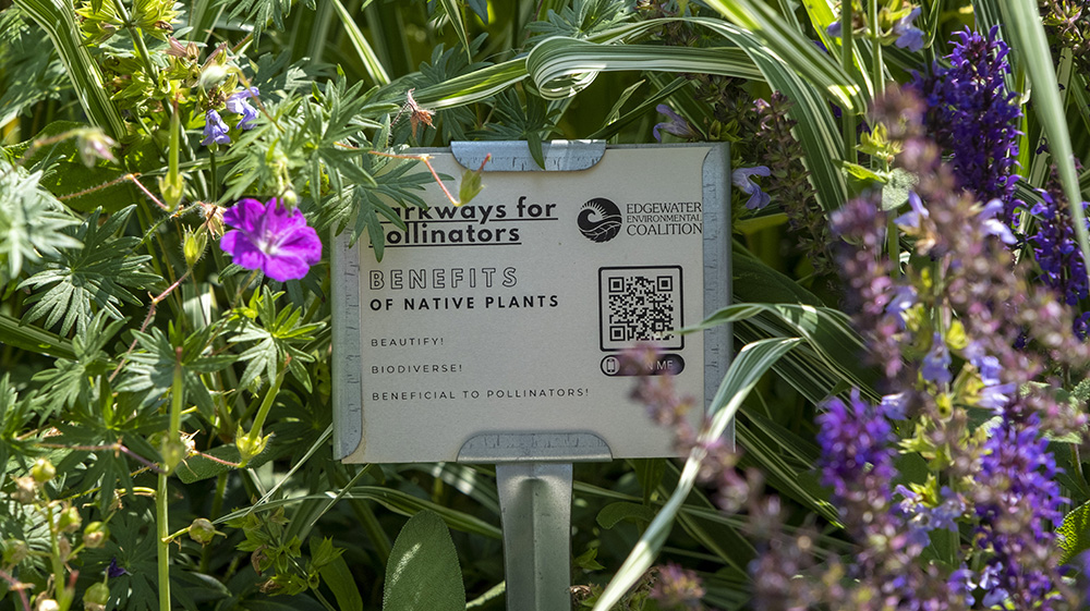 sign designating a pollinator garden